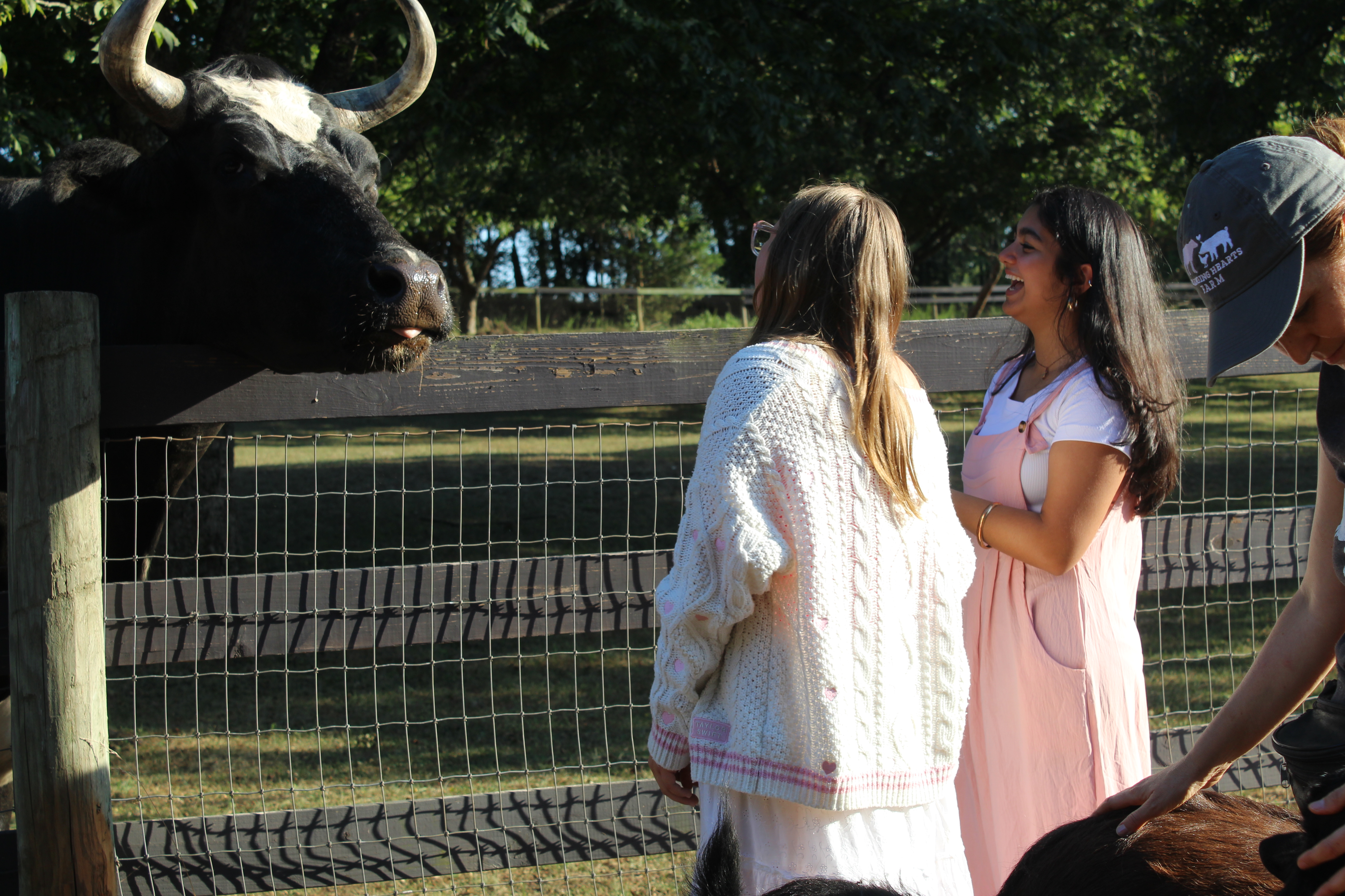 Education and Advocacy